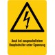 Auch bei ausgeschaltetem Hauptschalter unter Spannung, kombiniert mit Symbol Warnung vor elektrischer Spannung (W012)