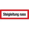 Steigleitung nass